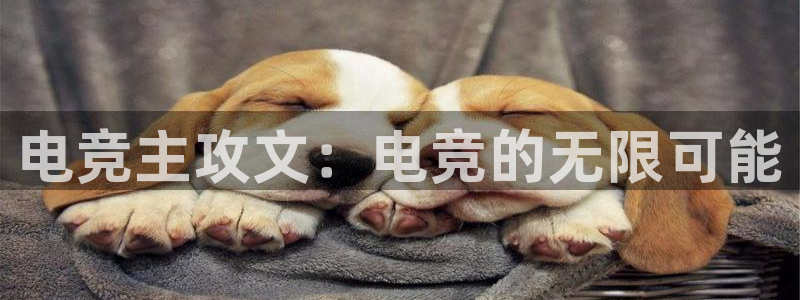 雷火电竞官网app下载：电竞主攻文：电竞的无限可能