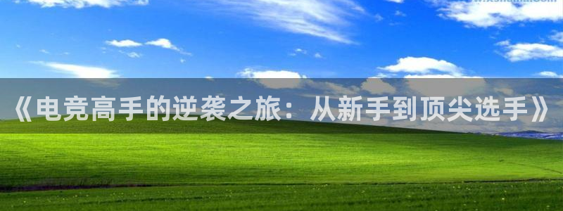 雷火电竞平台：《电竞高手的逆袭之旅：从新手到顶尖选手》