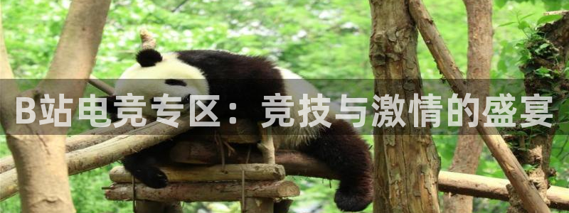 雷火电竞app下载：B站电竞专区：竞技与激情的盛宴