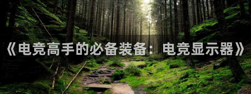 雷火电竞竞技平台官网：《电竞高手的必备装备：电竞显示器》