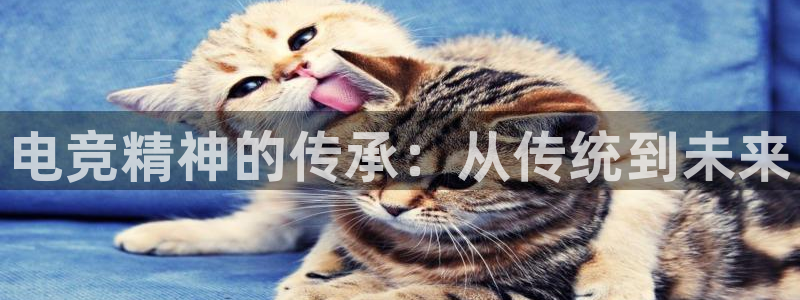 雷火电竞充值：电竞精神的传承：从传统到未来