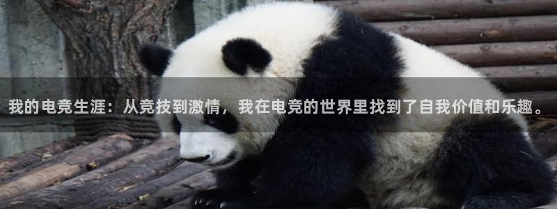 雷火电竞充值：我的电竞生涯：从竞技到激情，我在电竞的世界里找到了自我价值和乐趣。