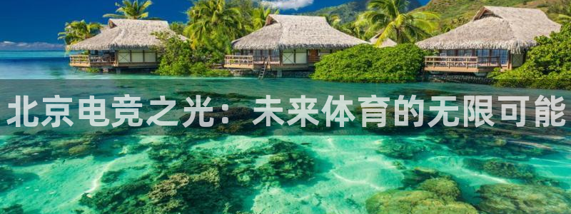 雷火电竞赏金赛赚钱版：北京电竞之光：未来体育的无限可能