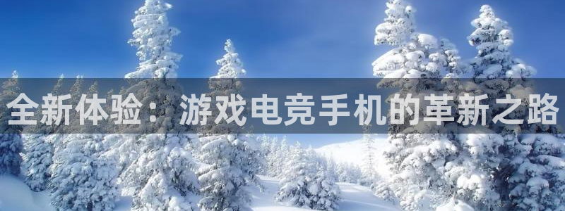 lh1153雷火电竞入口：全新体验：游戏电竞手机的革新之路