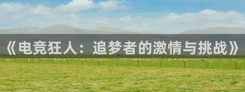 雷火电竞平台登录：《电竞狂人：追梦者的激情与挑战》