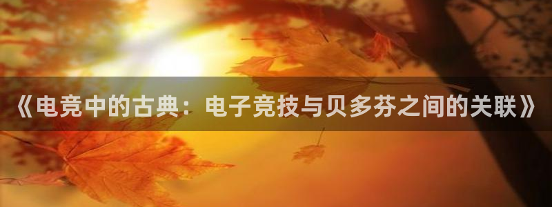 雷火电竞官网首页登录