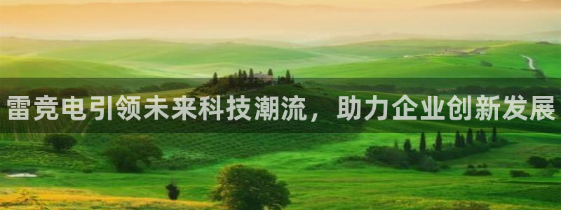 雷火电竞赏金赛赚钱版：雷竞电引领未来科技潮流，助力企业创新发展