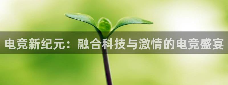 雷火电竞app最新版下载：电竞新纪元：融合科技与激情的电竞盛宴