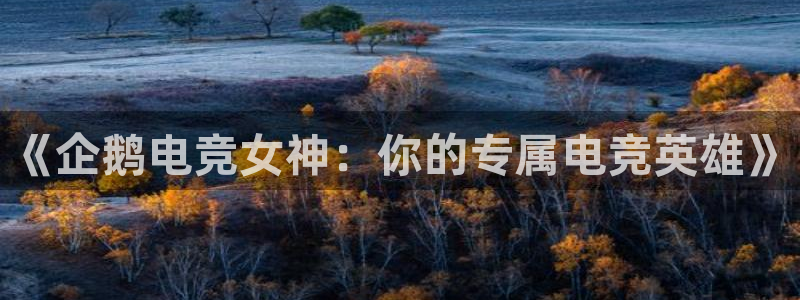 下载雷火电竞app：《企鹅电竞女神：你的专属电竞英雄》