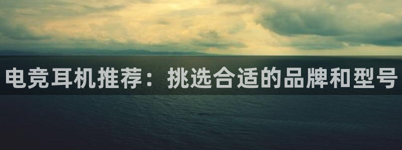 雷火电竞app最新版下载：电竞耳机推荐：挑选合适的品牌和型号