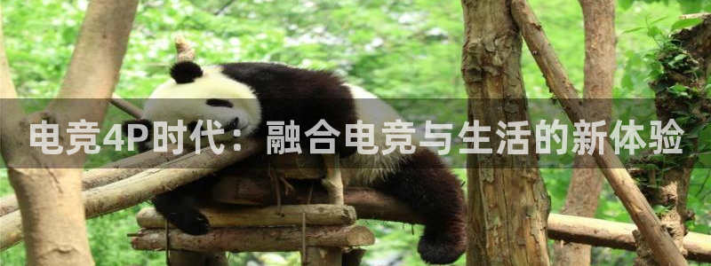 雷火电竞LH官网入口：电竞4P时代：融合电竞与生活的新体验