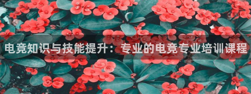 雷火电竞网址：电竞知识与技能提升：专业的电竞专业培训课程