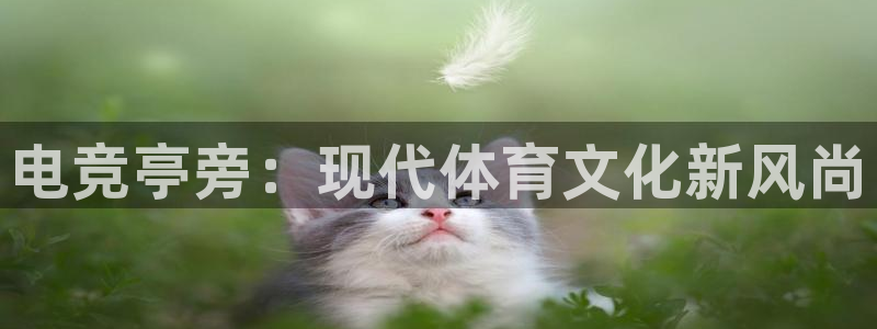 雷火电竞风控：电竞亭旁：现代体育文化新风尚