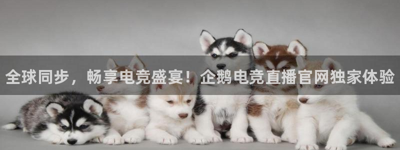 雷火电竞官网登录：全球同步，畅享电竞盛宴！企鹅电竞直播官网独家体验