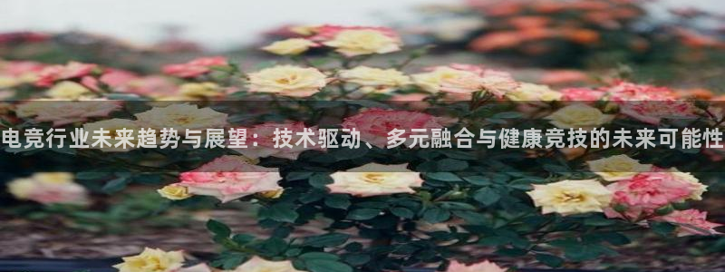 雷火电竞平台app下载：电竞行业未来趋势与展望：技术驱动、多元融合与健康竞技的未来可能性