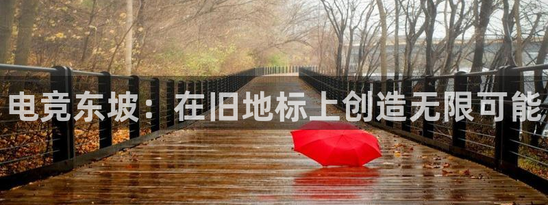 雷火电竞app官方网站：电竞东坡：在旧地标上创造无限可能