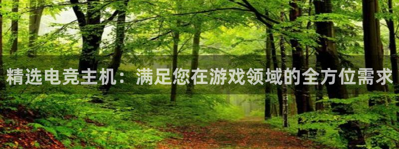 雷火电竞是干什么的