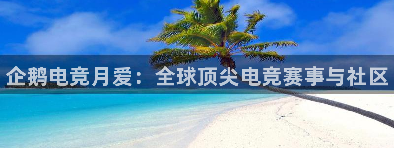 雷火电竞封号