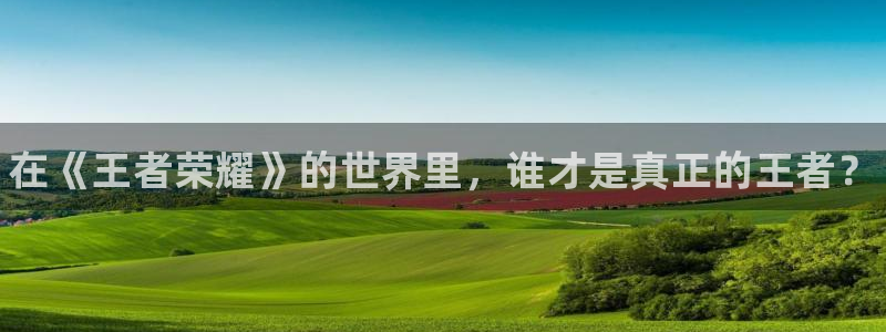 雷火电竞官网登录：在《王者荣耀》的世界里，谁才是真正的王者？