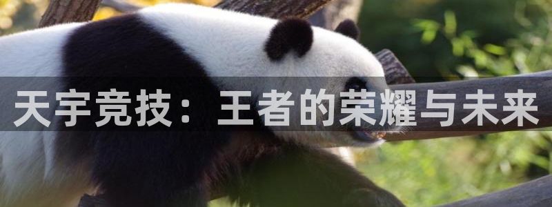 雷火电竞app官网：天宇竞技：王者的荣耀与未来