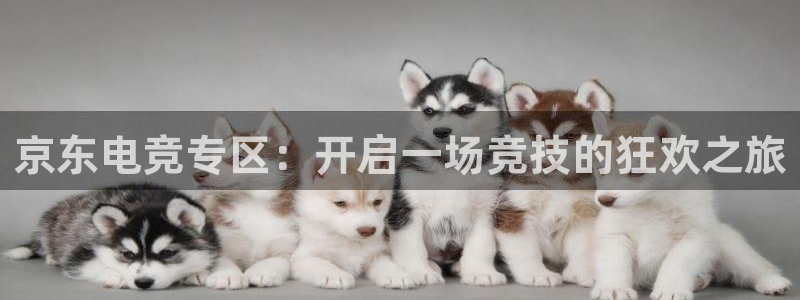 雷火电竞俱乐部