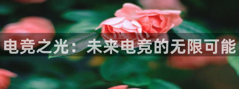 雷火电竞,亚洲电竞先驱：电竞之光：未来电竞的无限可能