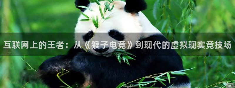 雷火电竞app官方网站：互联网上的王者：从《猴子电竞》到现代的虚拟现实竞技场