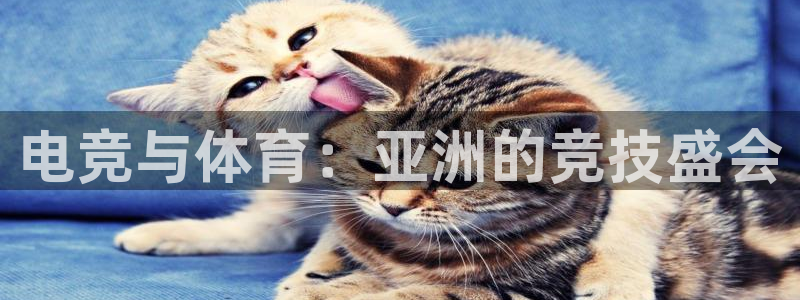 雷火电竞网页版登录入口：电竞与体育：亚洲的竞技盛会