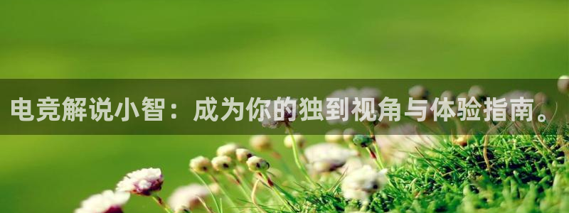 lh1153雷火电竞官网：电竞解说小智：成为你的独到视角与体验指南。