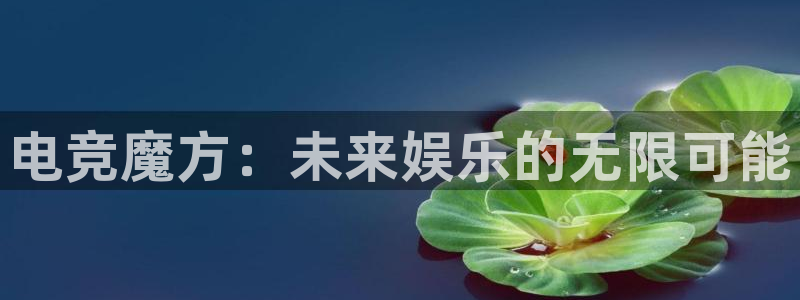 雷火电竞审核多长时间