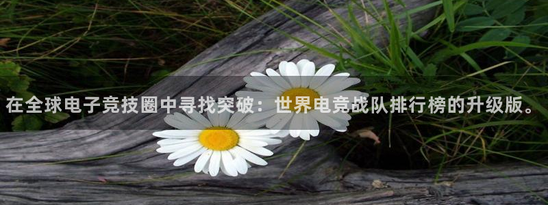 雷火电竞官网下载