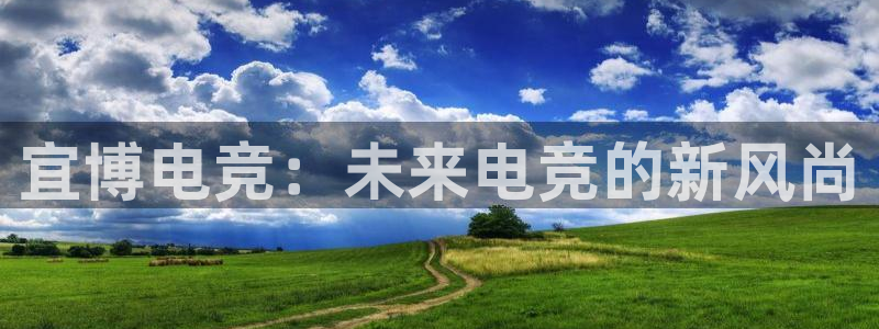 雷火电竞,亚洲电竞先驱