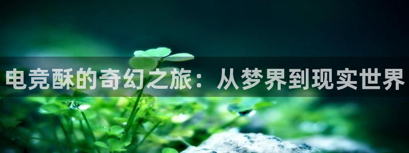 雷火电竞平台